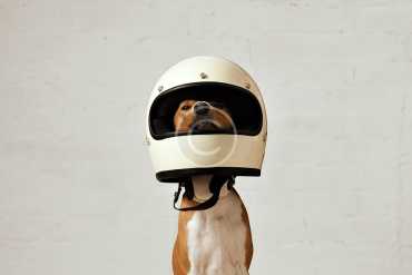 Don’t get trapped in a situation