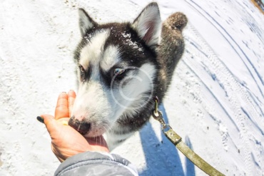 We Spent a Season Trying on Top List Mountain Bikes